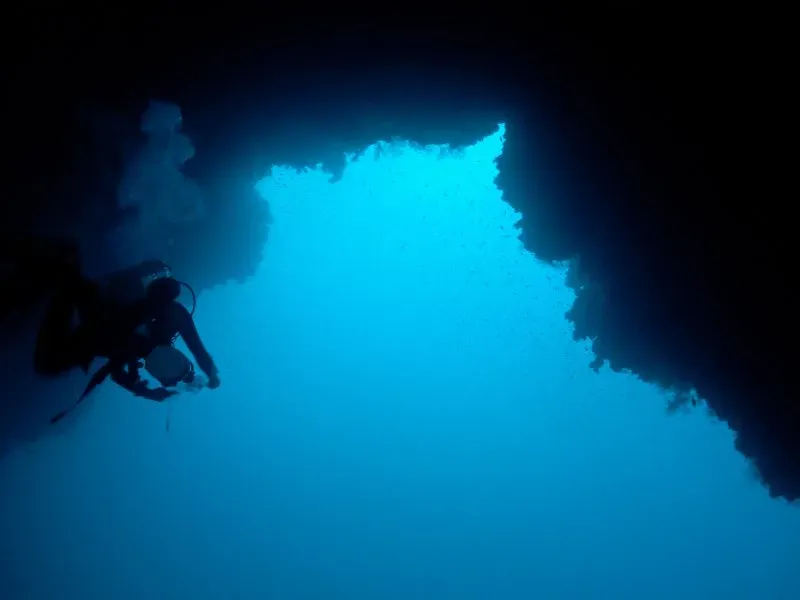 #2 The Lusca: A Legend with One Chilling Diver’s Tale (By Tommi Salminen (Tsalminen (talk)), CC BY-SA 3.0)