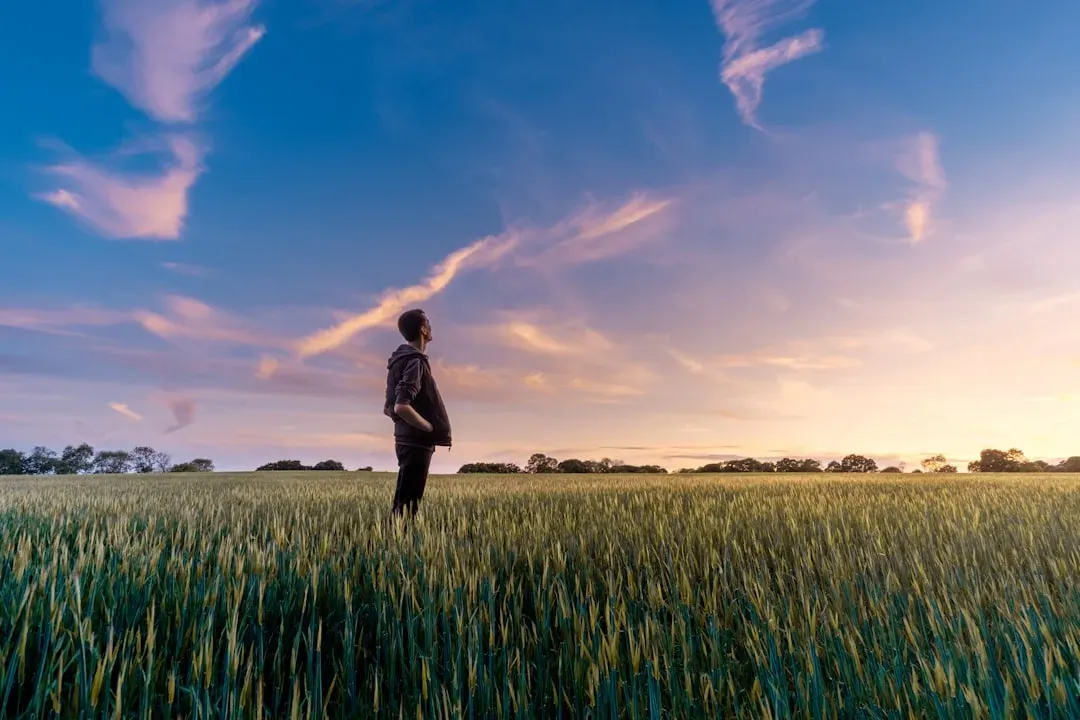 Conclusion: Your Cortisol Still Listens to the Sky (Image Credits: Unsplash)