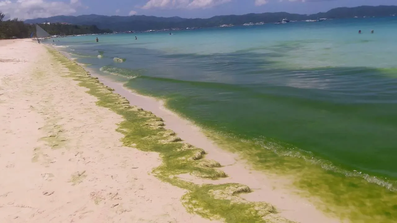 The Hidden Engine of the Oceans (Philippine News Agency: "Sewage mess drives Boracay into ‘cesspool’", Public domain)