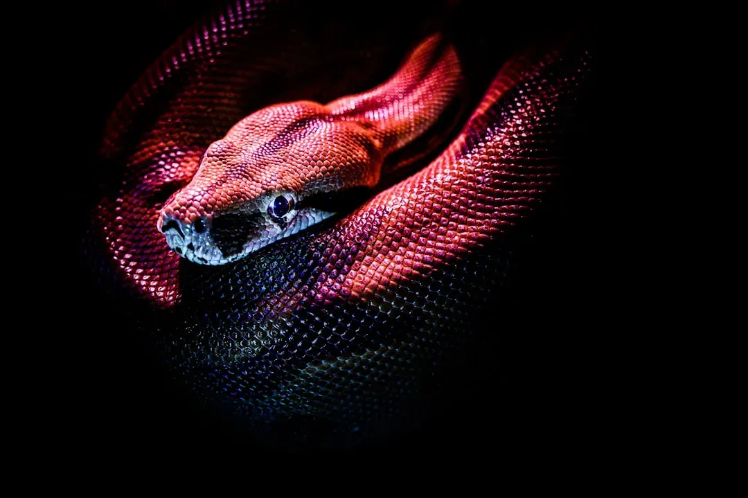 #15 - Infrared "Heat Vision" That Beats Military-Grade Thermal Cameras (Image Credits: Unsplash)