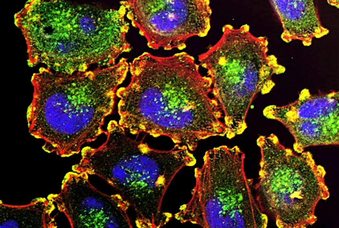 Was LUCA already complex, or just barely alive? (Image Credits: Unsplash)