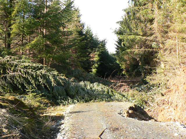 How Wind Creates the Breathing Effect (Image Credits: Wikimedia)