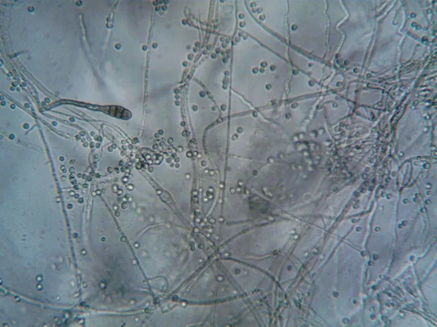 Why Your Choices Matter to the Unseen Architects (Image Credits: Pexels)