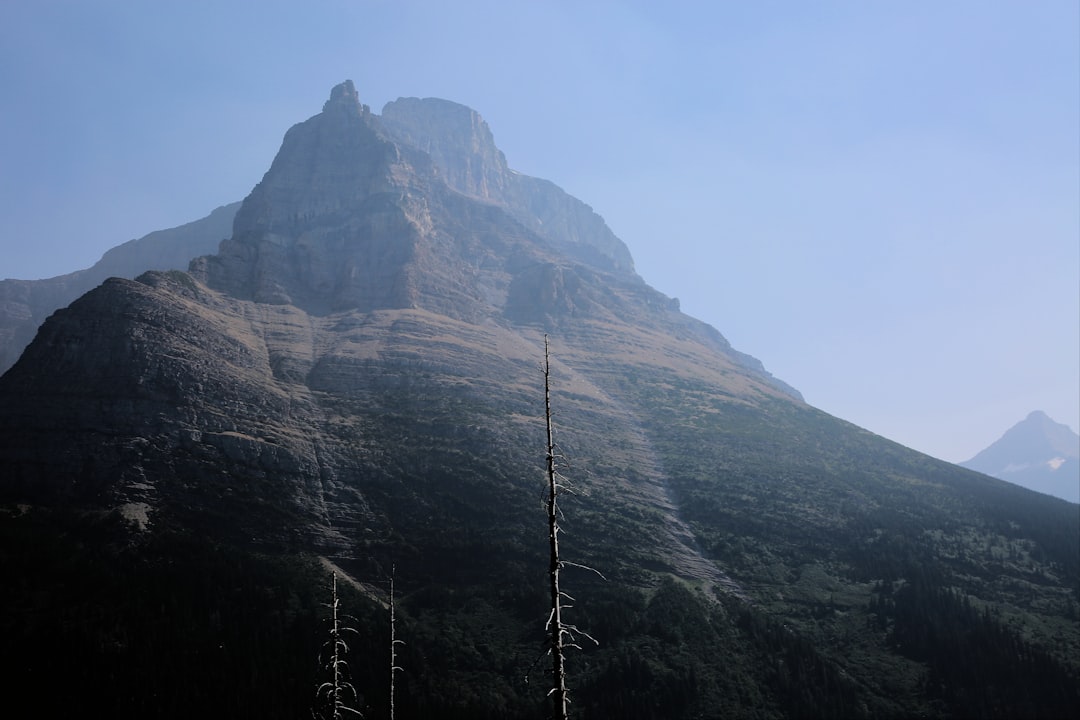 The Signal Under the Noise (Image Credits: Unsplash)