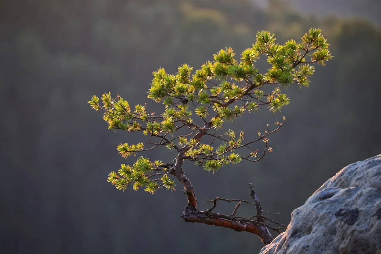 #7 - A Hidden Hormone Shift Quietly Hits Pause on Growth (Image Credits: Pixabay)