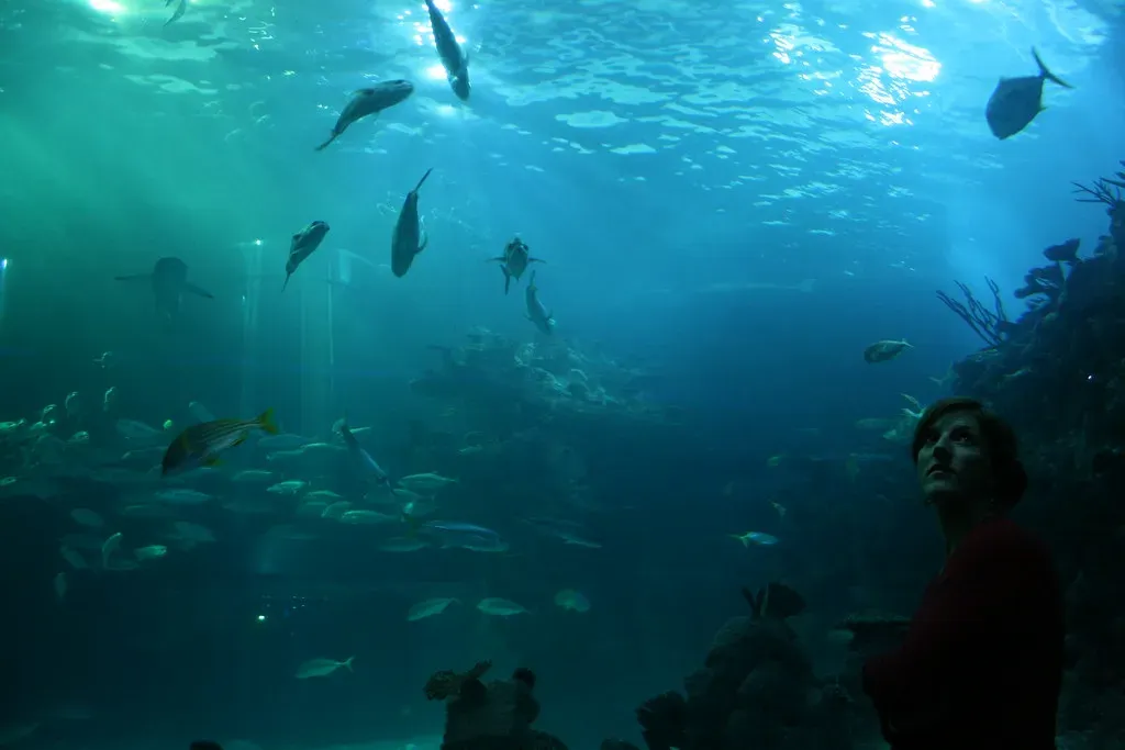 Lake Superior’s Abyss: Life At Superior Maximus (rubber bullets, Flickr, CC BY 2.0)