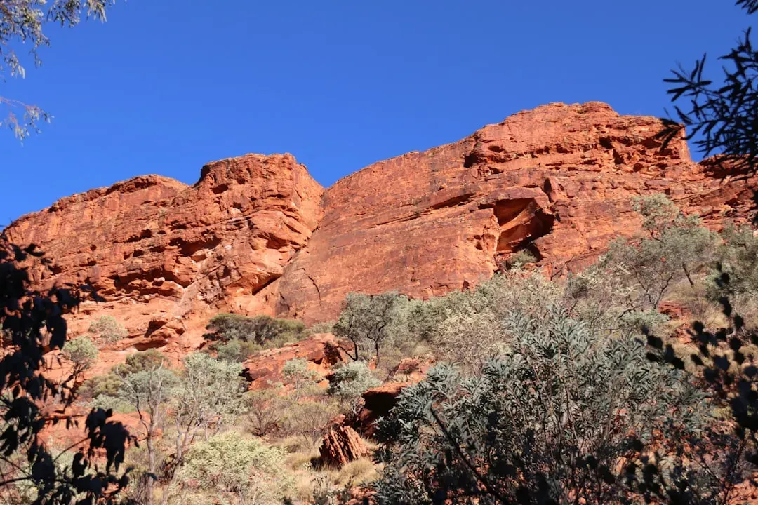 7. The Odd Case of Park Ranger Randy Morgenson in Kings Canyon (Image Credits: Unsplash)