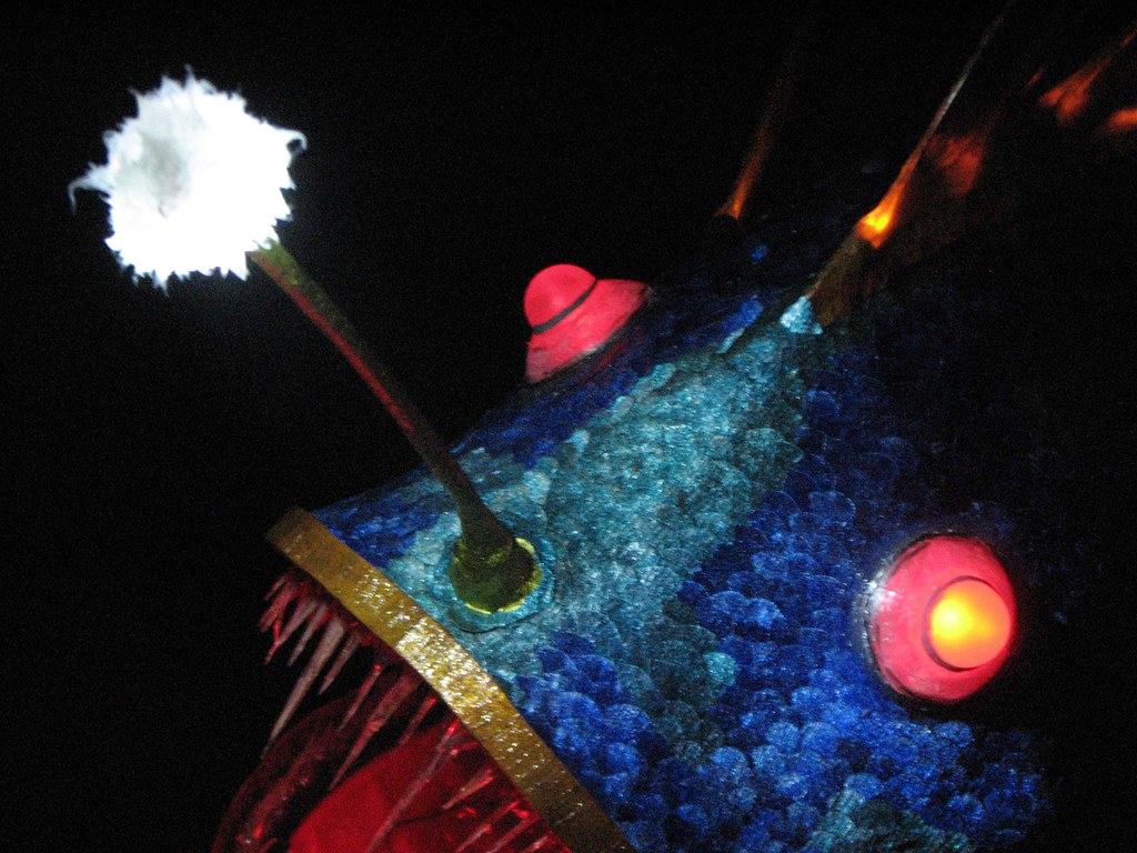 Deadly Lures in the Darkness (Image Credits: Flickr)