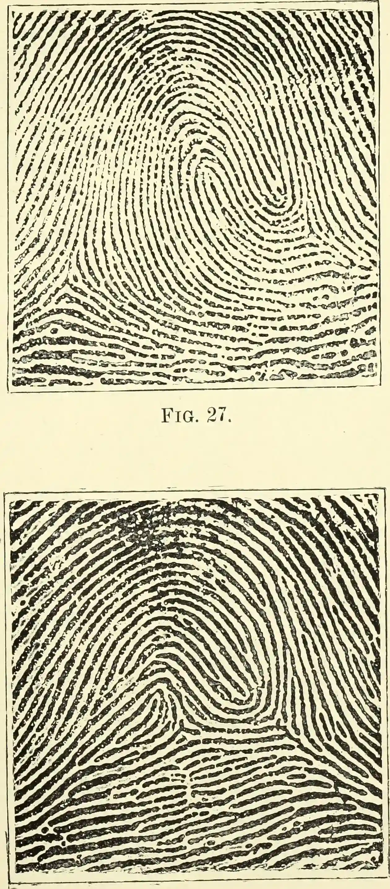 How You Can Engage With the Science of Your Own Skin (Image Credits: Wikimedia)