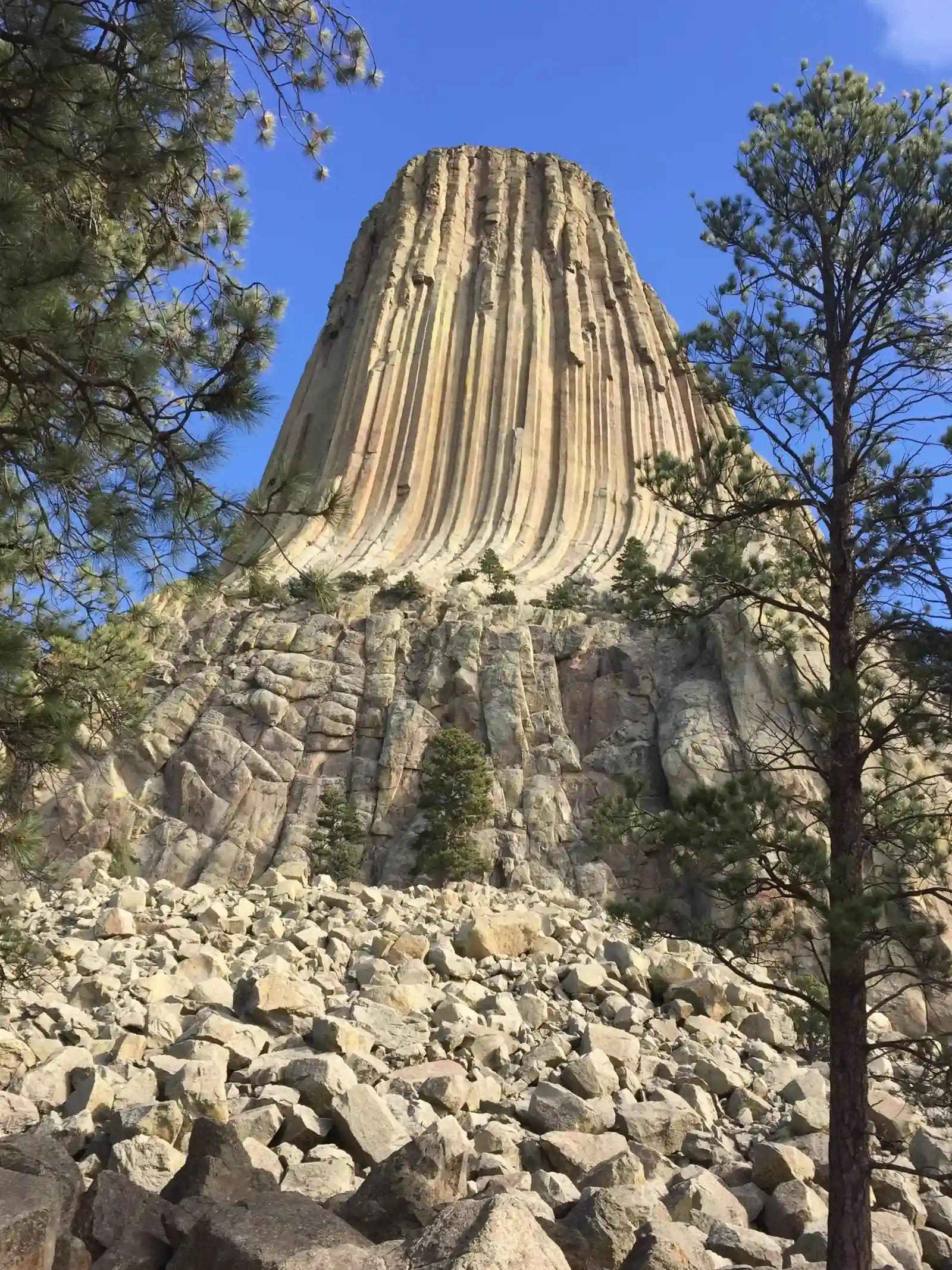 The Devil’s Tower Puzzle: A Monolith with No Clear Blueprint (Image Credits: Wikimedia)