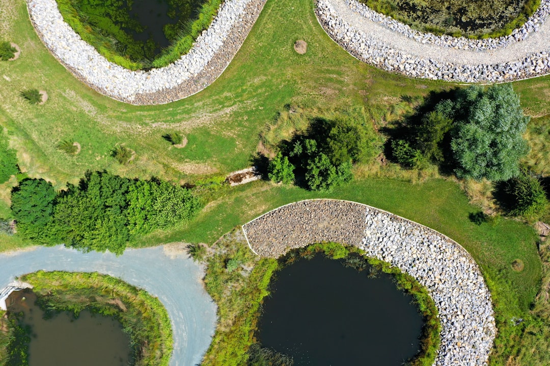 The Future Landscape (Image Credits: Unsplash)