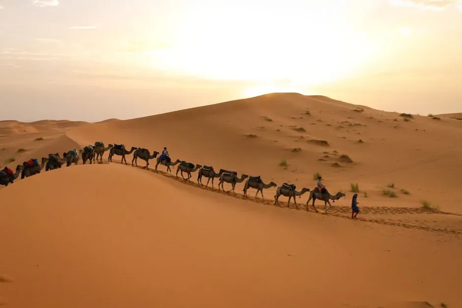 #8 The Historic Caravans of the Trans‑Saharan Trade (Image Credits: Pexels)