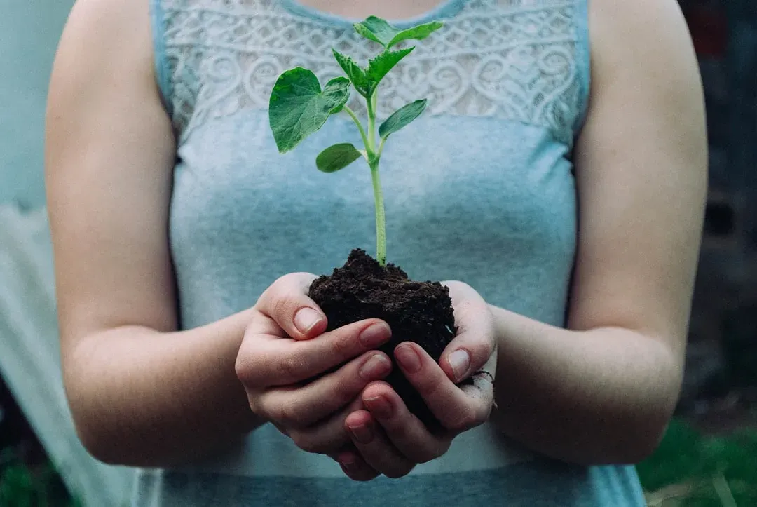 The Ethical Twinge You Feel Around Your Salad (Image Credits: Unsplash)