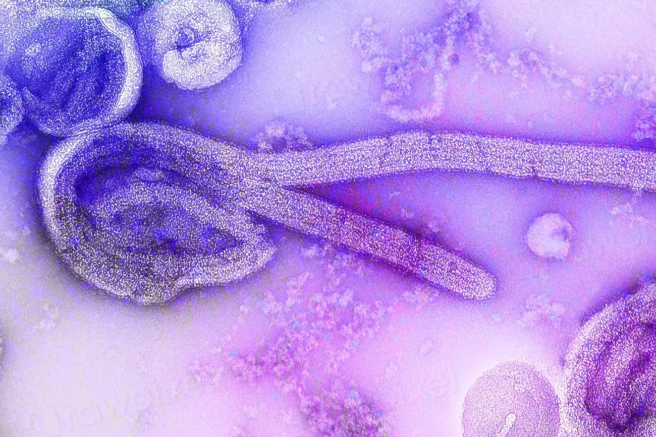 Germ Theory of Disease: Invisible Killers and How We Fight Them (Image Credits: Rawpixel)