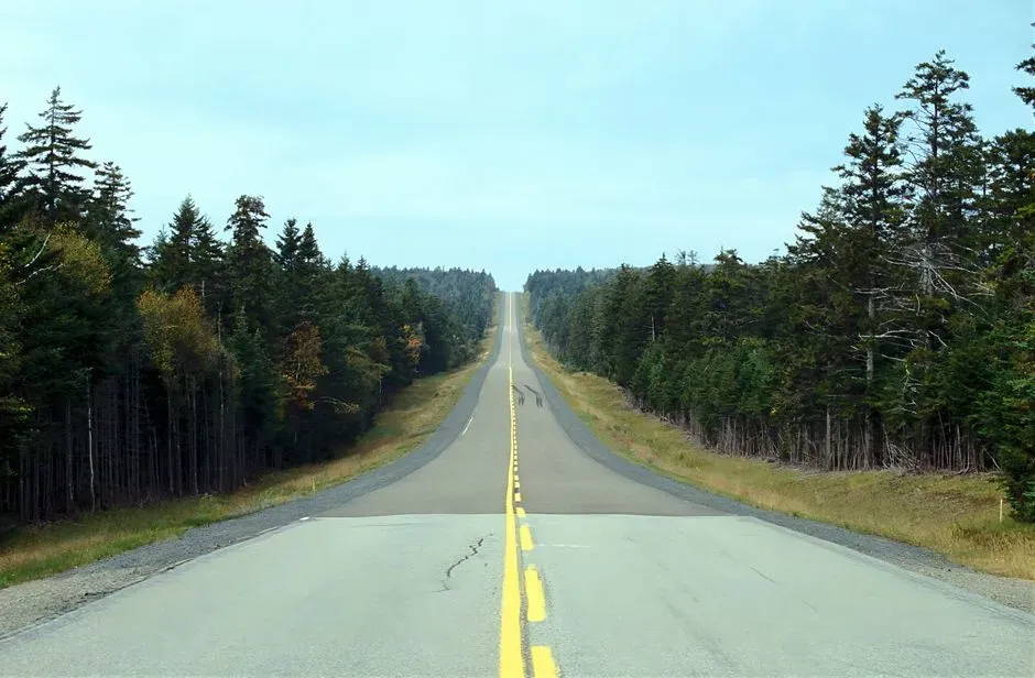 7. The “Mystery Spots” and Gravity Hills – Where Rocks Roll the Wrong Way (Image Credits: Pexels)