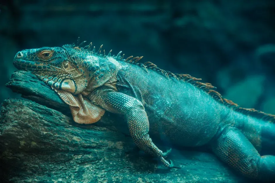 Evolution by Natural Selection: Life’s Long Game (Image Credits: Pexels)