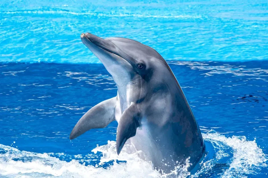 #3 – Dolphins: Acoustic Supercomputers of the Sea (Image Credits: Pexels)