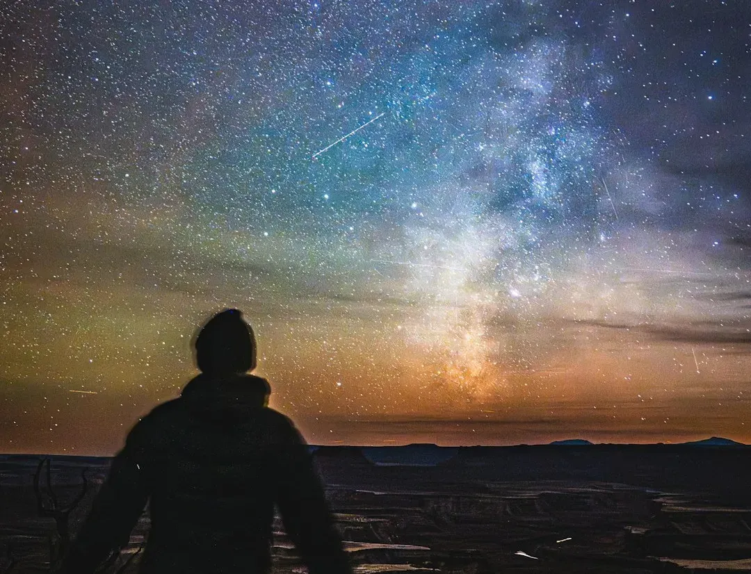 So Which Is It? A Personal Take on Minds and the Universe (Image Credits: Unsplash)