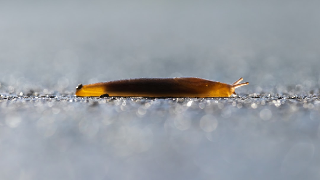 The Ice Worm: Nature's Frozen Paradox (Image Credits: Unsplash)