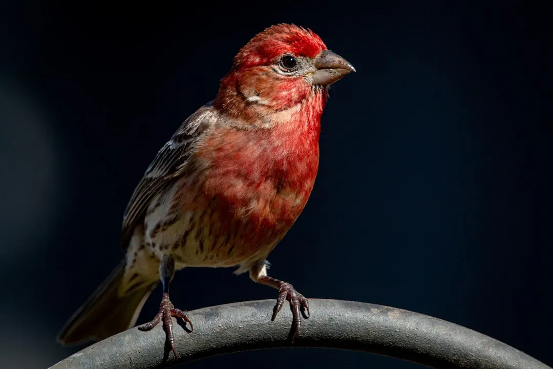 4. Their Colors Can Be a Health Report You Can Read (Image Credits: Unsplash)
