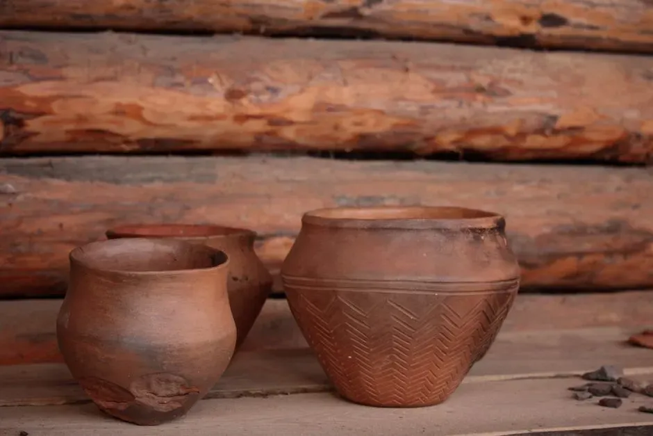 #11 - Carinated "Shouldered" Bowls (Image Credits: Pexels)