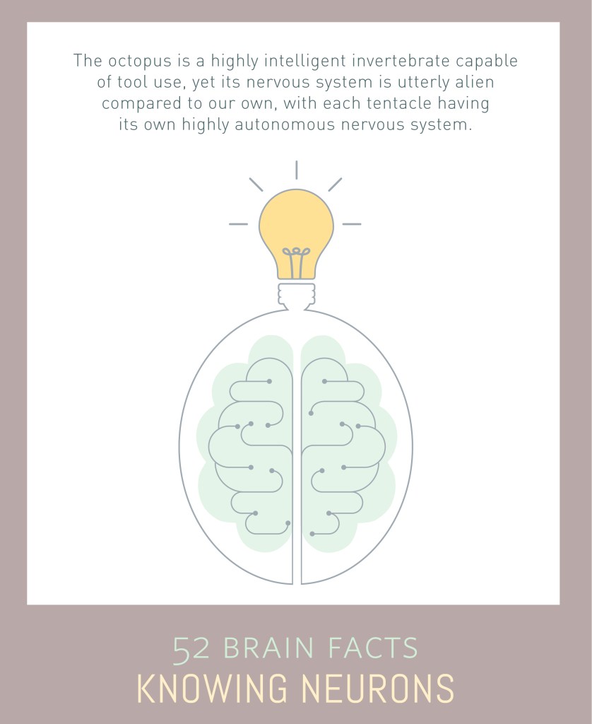 Why It Matters (Image Credits: Wikimedia)