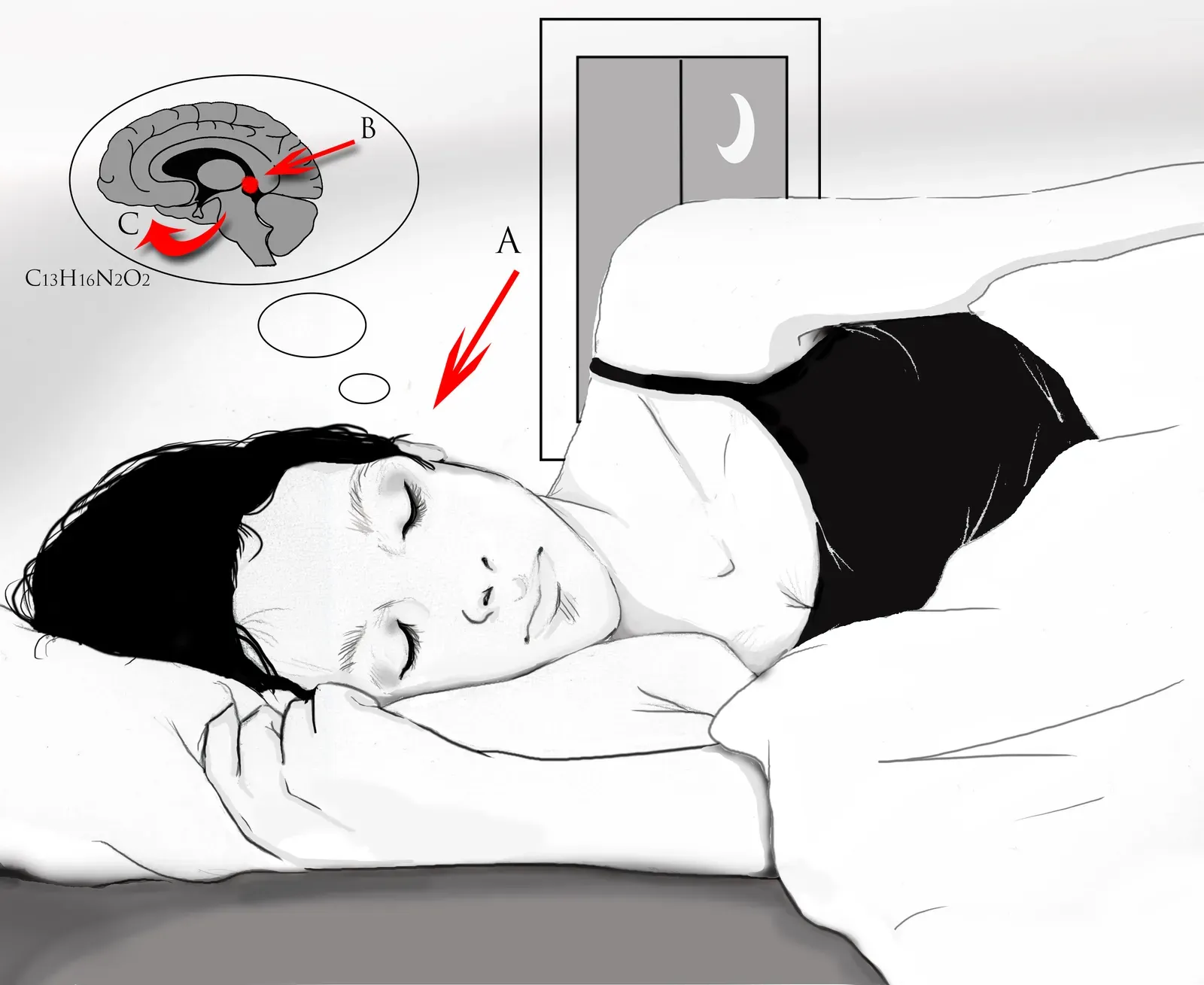 The Role of Melatonin and Circadian Rhythms in Orchestrating Sleep (By KathyG123, CC BY-SA 4.0)