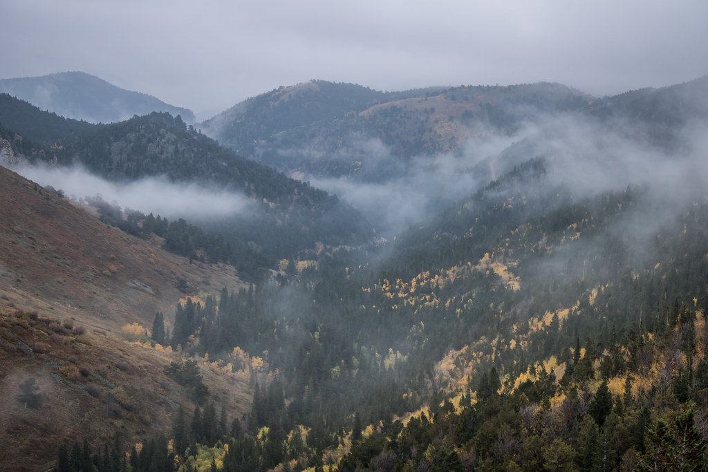 Colorado Rocky Mountain Cloud Forests - High Elevation Subalpine Zones (Image Credits: Flickr)