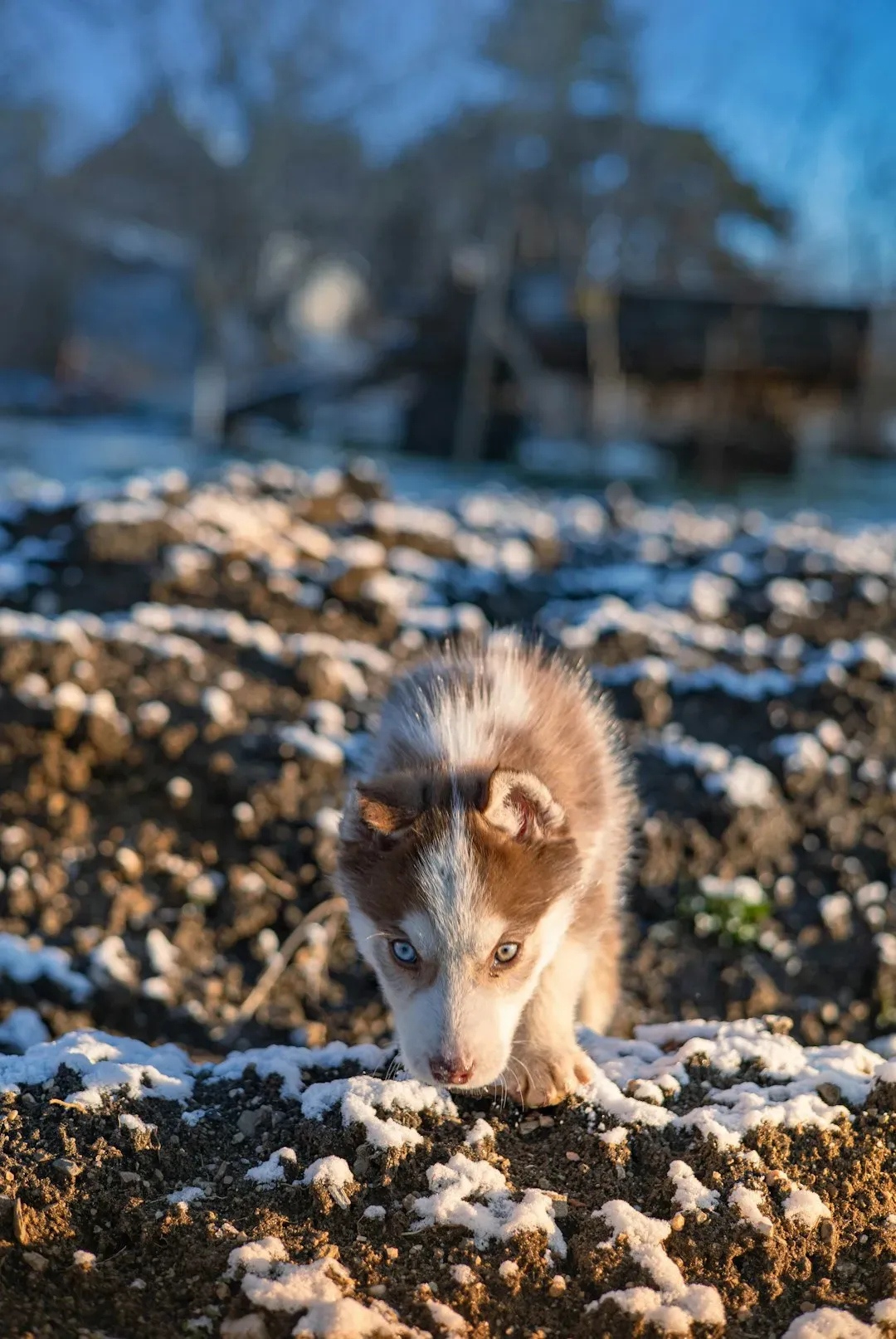 From Ancient Relics to Urban Survivors (Image Credits: Unsplash)
