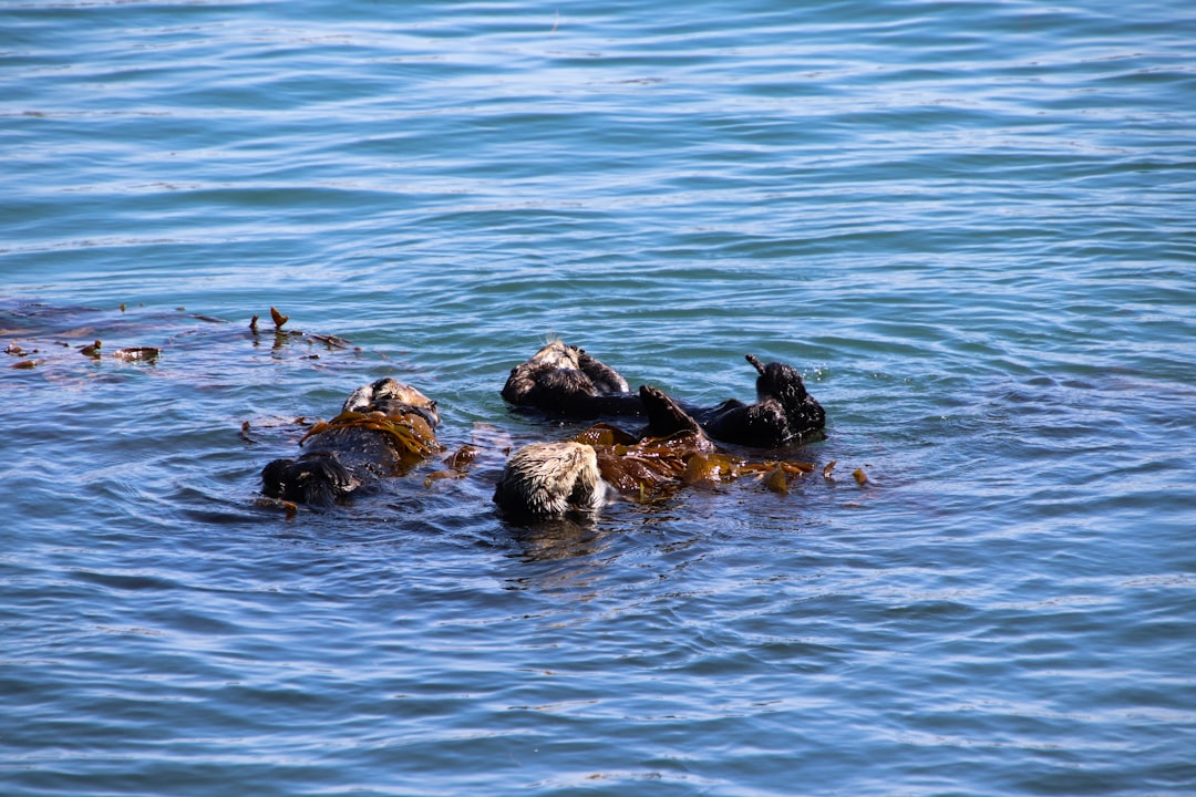 Study 1 - The Hidden Clues (Image Credits: Unsplash)