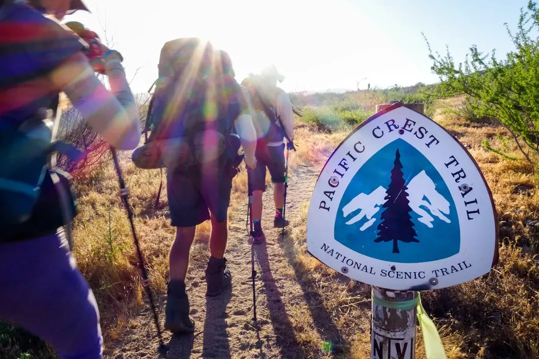 Balancing Mystery And Reality: My Take On The “Nine Hikers” Legend (Image Credits: Unsplash)