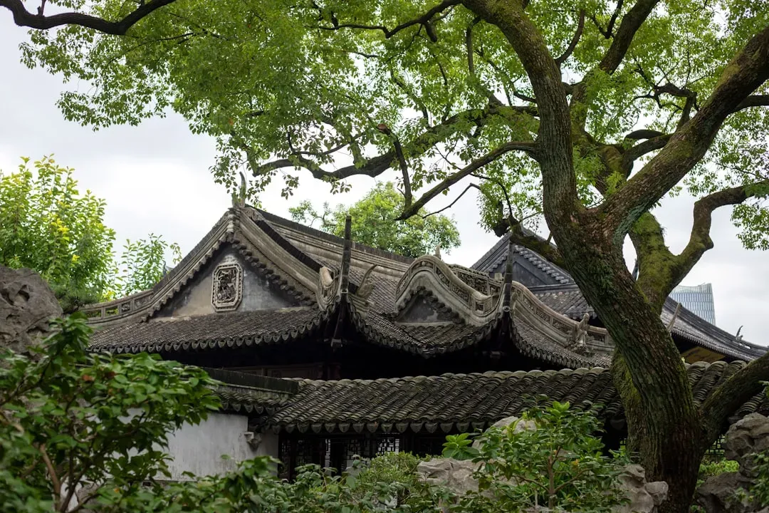 Ancient China: Harmony, Governance, and the Ethics of Everyday Life (Image Credits: Unsplash)