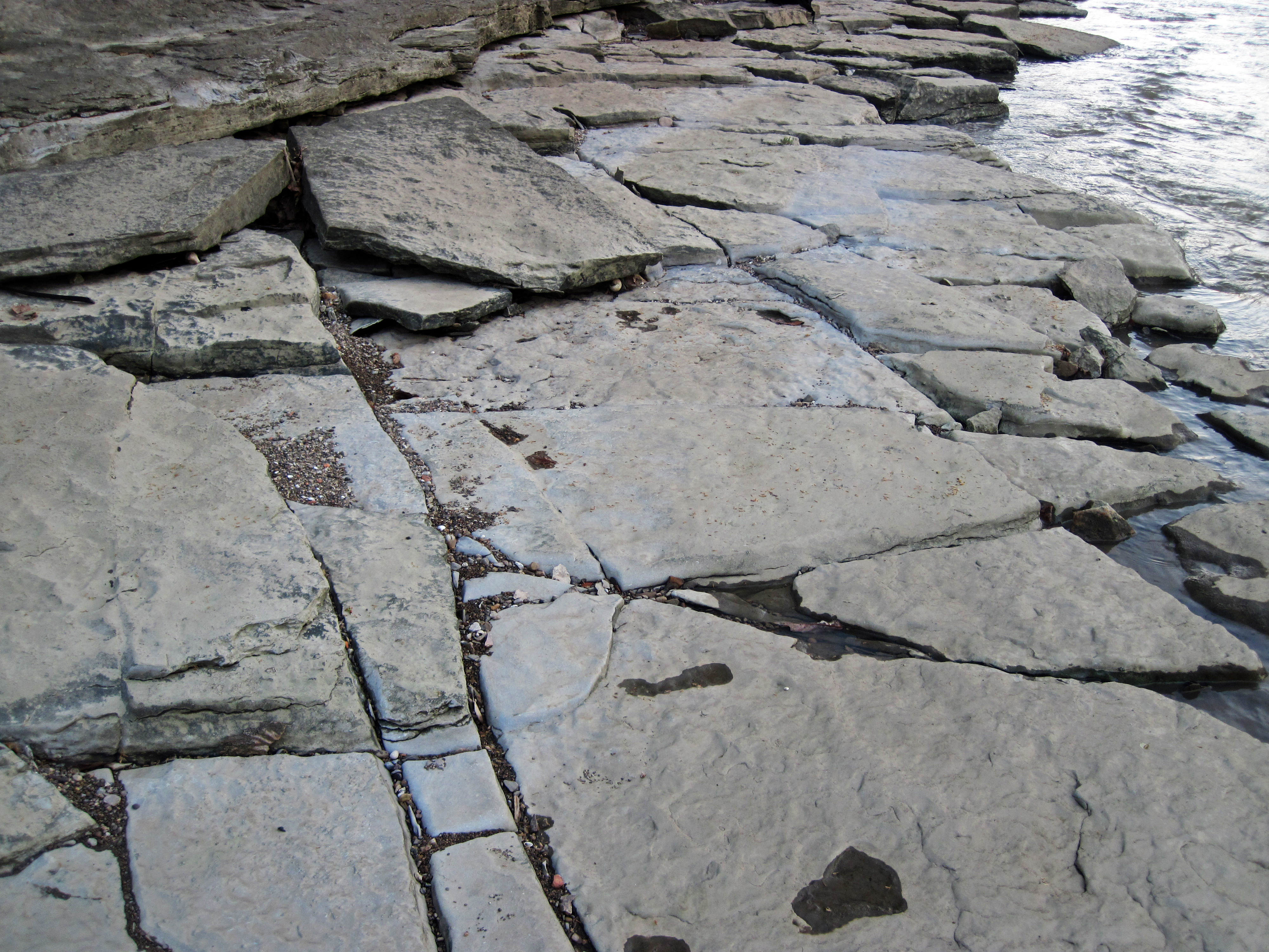 A Race Against Time (Image Credits: Wikimedia)