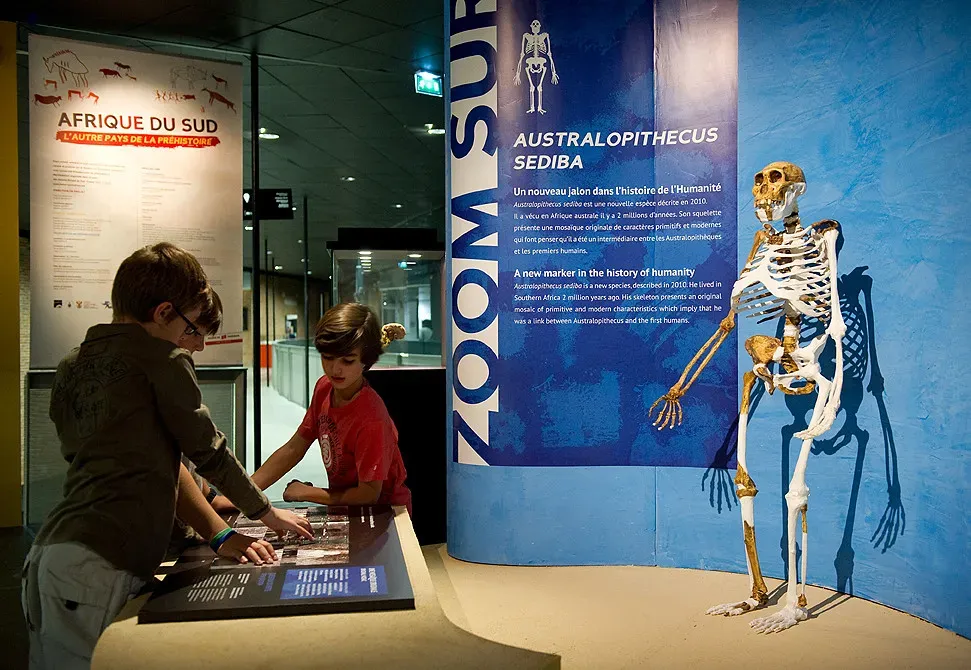 #6 - The Boy Who Fell Into a Sinkhole and Became a Missing Link (museumdetoulouse, Flickr, CC BY-SA 2.0)