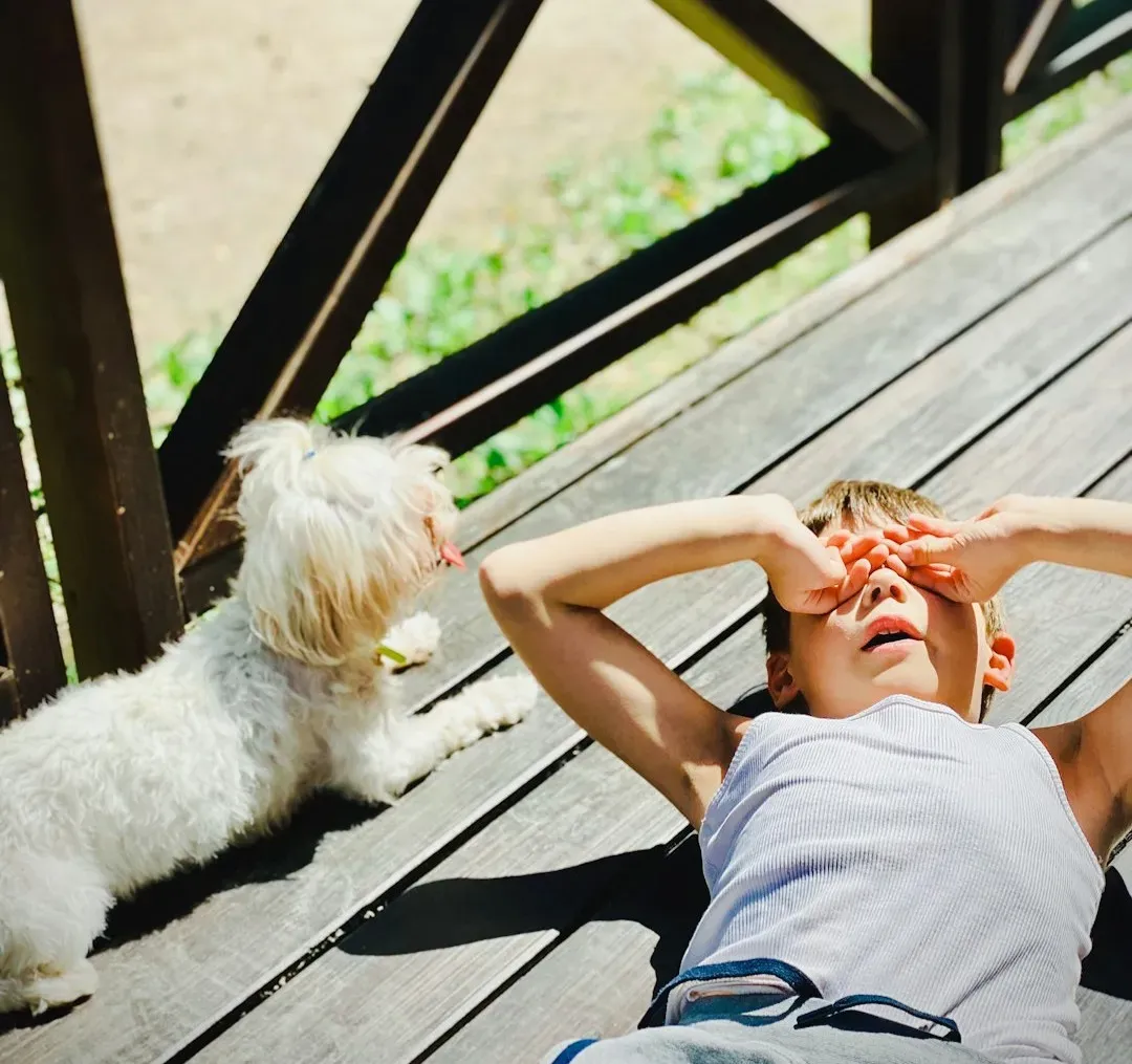 Why Researchers Call That Response Empathic (Image Credits: Unsplash)