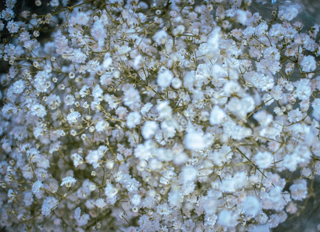 Ice Bombs: Mysterious Chunks Falling from Clear Skies (Image Credits: Unsplash)