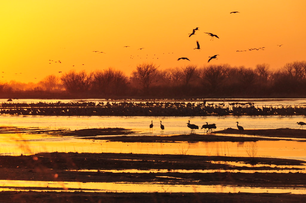 The River's Critical Role (Image Credits: Flickr)