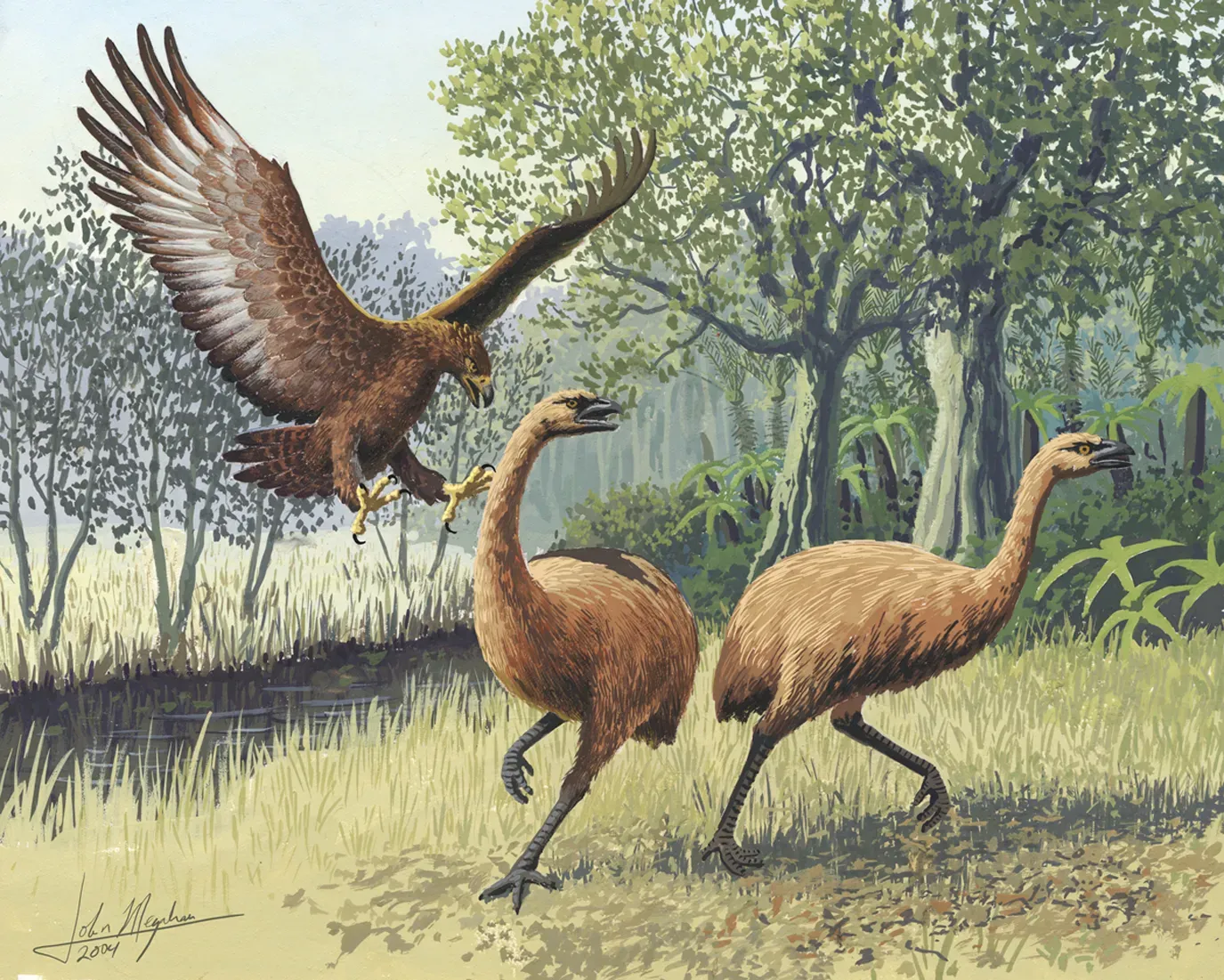 The Bottom Line (Ancient DNA Tells Story of Giant Eagle Evolution. PLoS Biol 3(1): e20. doi:10.1371/journal.pbio.0030020.g001, CC BY 2.5)