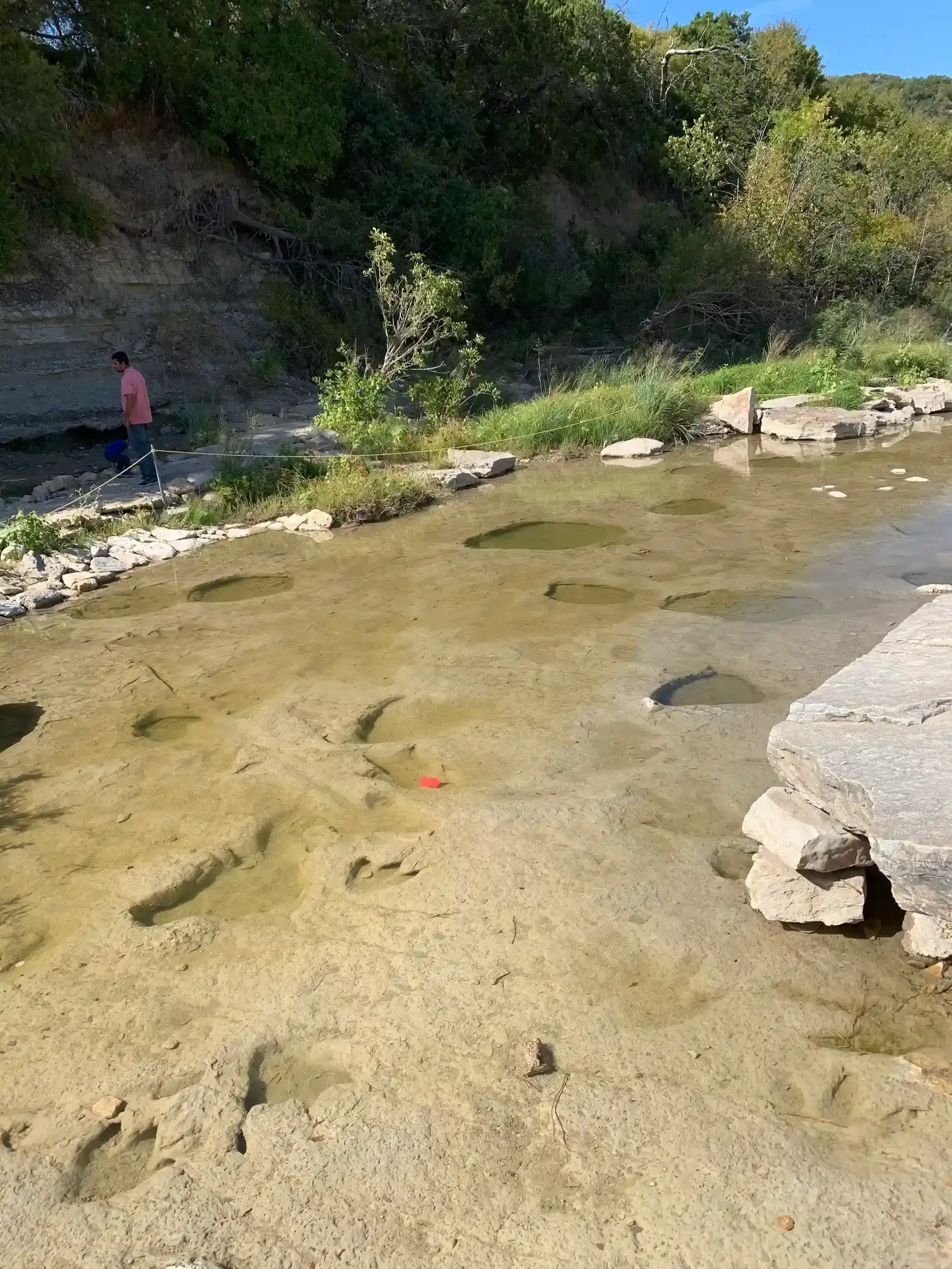 The Paluxy River Footprints in Texas (Image Credits: Wikimedia)