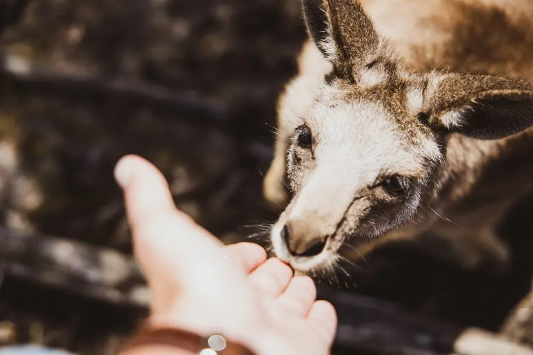 You Plan for the Ethical Shockwave Before It Hits (Image Credits: Unsplash)