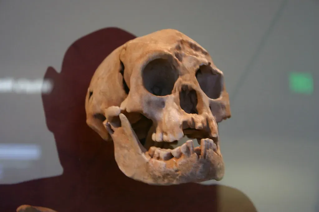 6. Flores and the Long Shadow of Homo floresiensis (Ryan Somma, Flickr, CC BY-SA 2.0)