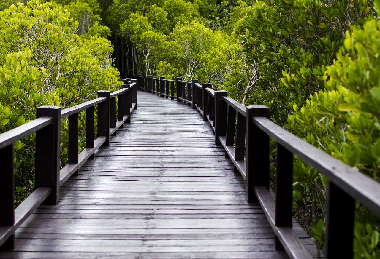 Carbon Storage Revolution Along America's Shores (Image Credits: Pixabay)