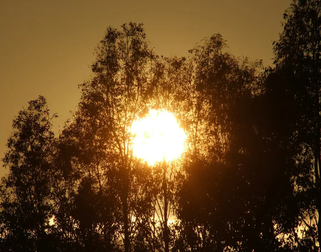 The Faint Young Sun and the Surprising Stability of Early Life (Image Credits: Unsplash)