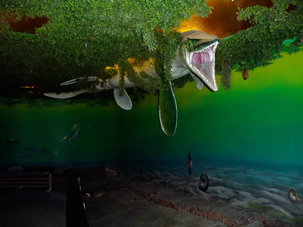Life in the Western Interior Seaway: Monsters, Fish, and Microscopic Builders (Mosasaur, CC BY-SA 2.0)