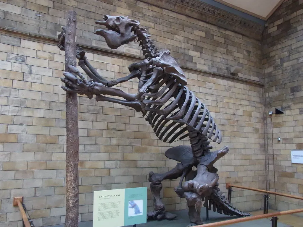 #6 - Giant Sloth Outlines in Amazonian Panels (tolomea, Flickr, CC BY 2.0)