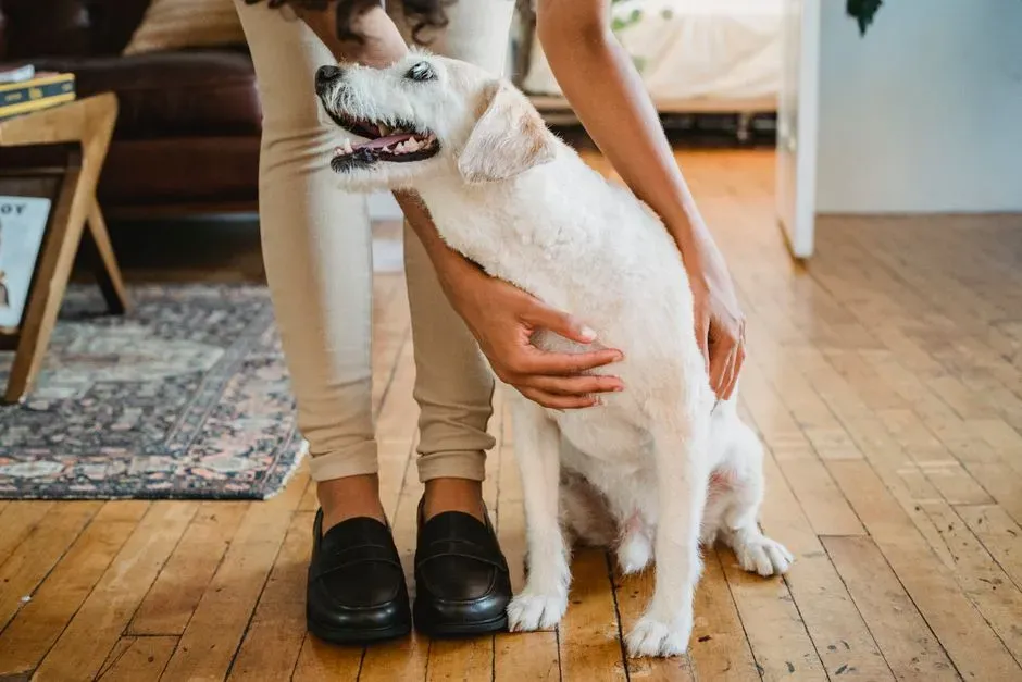 Oxytocin, Touch, and the Biochemistry of Bonding (Image Credits: Pexels)