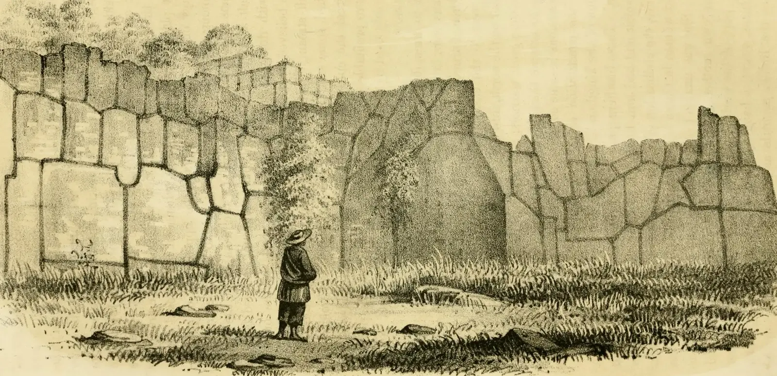 Ghost Empires of the Amazon: Cities Under the Canopy (Image Credits: Wikimedia)