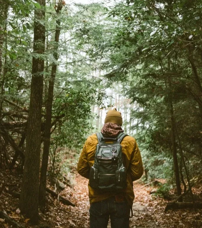 If You Didn’t Grow Up Near Wild Spaces, What Can You Do Now? (Image Credits: Rawpixel)