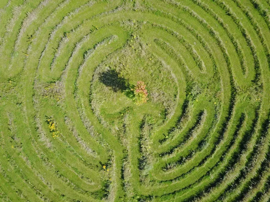 9. The Vermont Backpacker Lost in a Maze of Side Trails (Image Credits: Pexels)