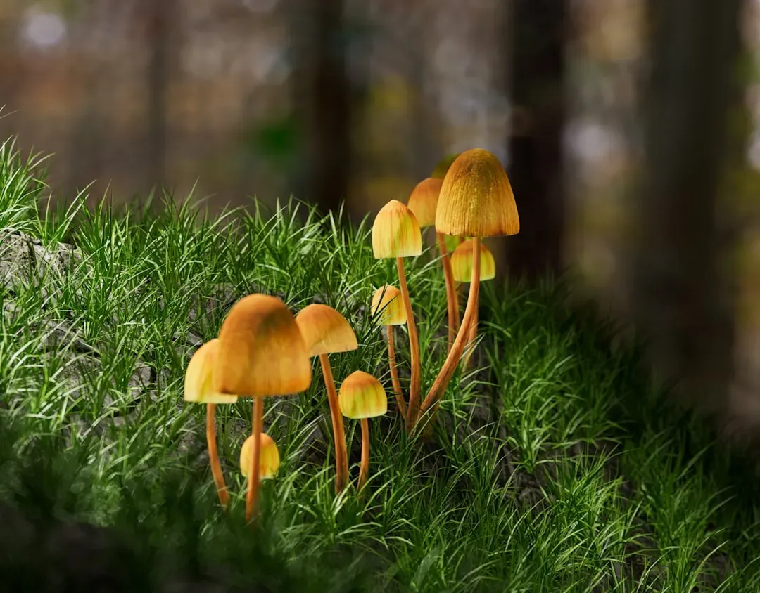 Panpsychism: The Strange Idea That Awareness Goes All The Way Down (Image Credits: Unsplash)